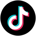 TikTok Logo